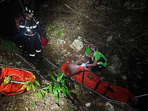 da una zona boscata in frazione Novale - Valdagno da una zona boscata in frazione Novale - Valdagno