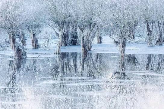 il Lago di Santa Croce ghiacciato - Cristiano VendraminWildlife Photographer of the Year il Lago di Santa Croce ghiacciato - Cristiano VendraminWildlife Photographer of the Year