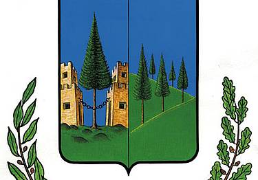 logo Selva di Cadore