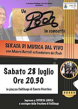 Serata un Pooh in concerto