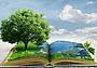 sostenibilita_ambiente_educazione_ftlia_ada-kah-1280x960_produzione-PIPsof