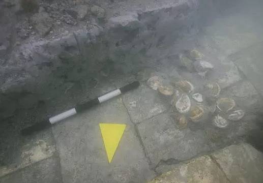 scavo archeologico subacqueo sul sito lagunare di Lio Piccolo, di Cavallino Treporti (VE) scavo archeologico subacqueo sul sito lagunare di Lio Piccolo, di Cavallino Treporti (VE)