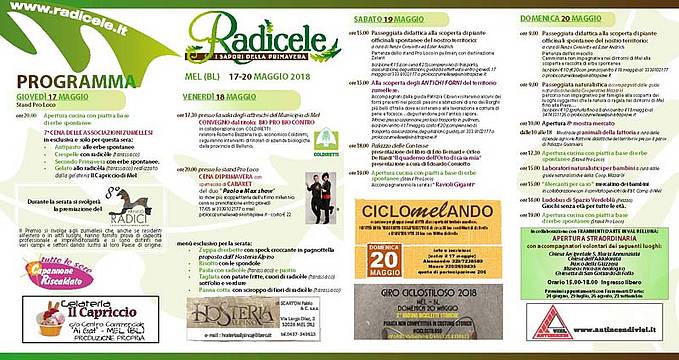 radicele_2018 pag.2 radicele_2018 pag.2