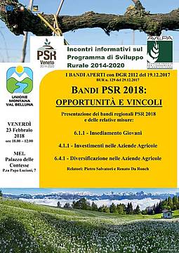 BANDI PSR 2018 BANDI PSR 2018
