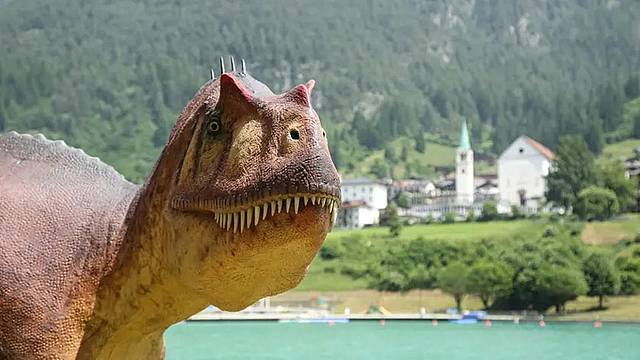 una-delle-installazioni-sulle-rive-del-lago-di-santa-caterina-ad-auronzo