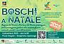 Boschi a Natale 2025 - Sospirolo