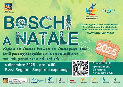 Boschi a Natale 2025 - Sospirolo