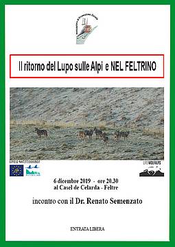 Il ritorno del Lupo sulle Alpi e nel Feltrino
