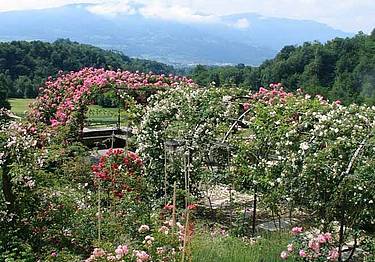 Roseto - museo Serravella