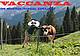 Vaccanza. The mountain Tropical Experience_Fondazione Malutta_31 luglio 2021