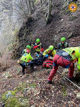 nel bosco sul Monte Novegno