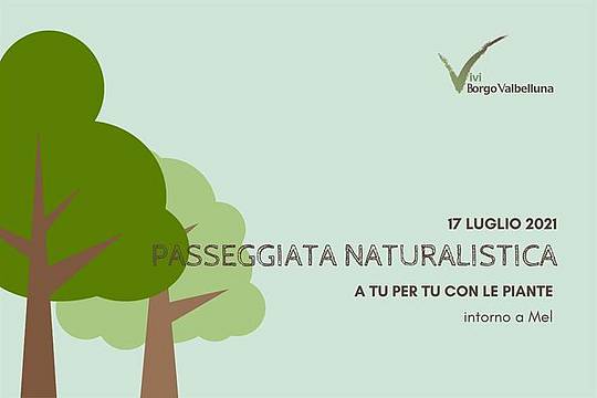Passeggiata naturalistica 17-7-21 Passeggiata naturalistica 17-7-21