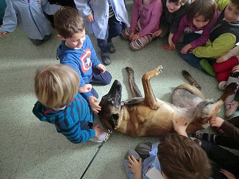 Bimbi e Cani