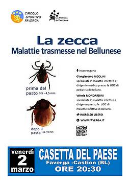 La Zecca nel Bellunese