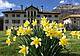 Villa Zuliani