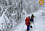 Emergenza neve, interventi sulle montagne venete