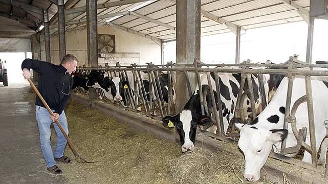 Nel Bellunese un allevamento su due rischia la cancellazione