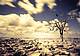 siccita_clima_ftlia-krbe-1280x960_web_2020-e16uGT