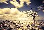 siccita_clima_ftlia-krbe-1280x960_web_2020-e16uGT