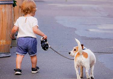protagonisti i cani e i bambini