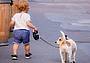protagonisti i cani e i bambini