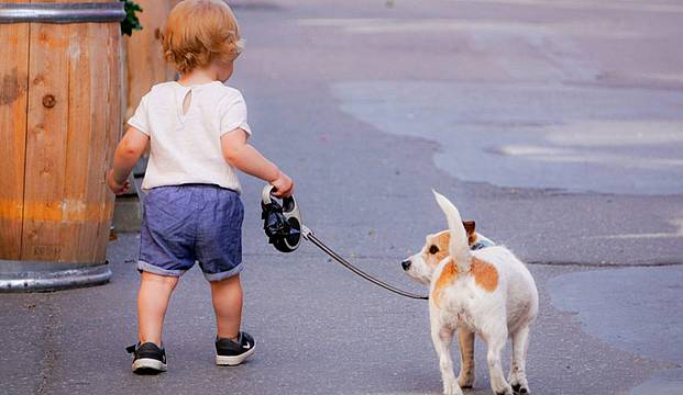 protagonisti i cani e i bambini protagonisti i cani e i bambini
