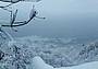 Una nevicata in Valdobbiadene