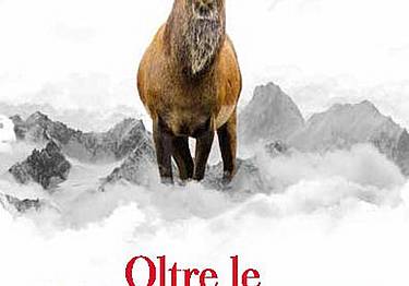 OltreLeVette 2017
