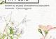 DOLOMIA_INVITO ROSETO_2023 1