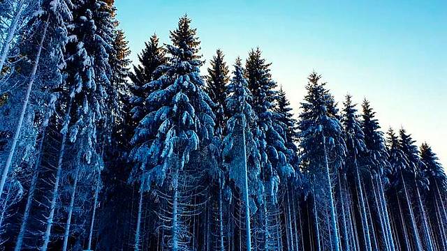 Neve in montagna. Rischio valanghe nelle Prealpi