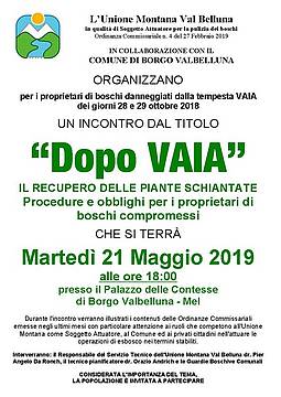 2019_incontro VAIA