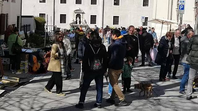 Pienone in cittadella a Feltre per la fiera "L'oggetto ritrovato"