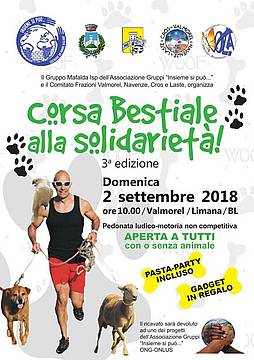 Corsa Bestiale Alla Solidarietà