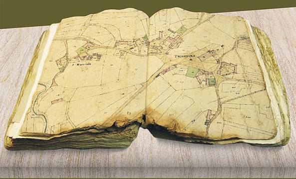 Trichiana nella storia dei suoi insediamenti e dei suoi abitanti Trichiana nella storia dei suoi insediamenti e dei suoi abitanti