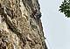 sulla Ferrata delle Anguane