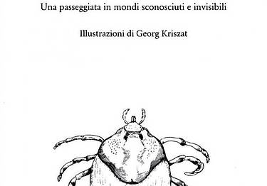 Zecca brigante di strada