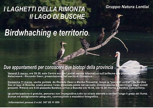 Birdwatching e Territorio