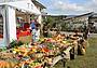 Orti-in-piazza-Visome_edited