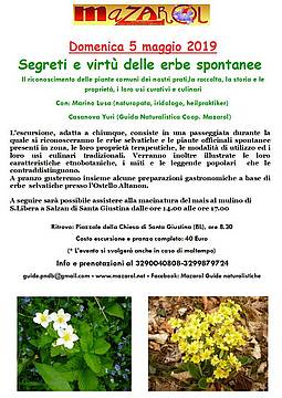 5-maggio-2019-Erbette-all_Altanon-min