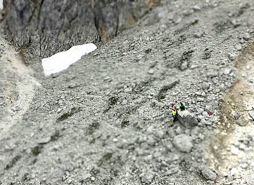 IMG-20180708-WA0002 IMG-20180708-WA0002
