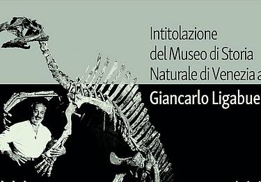 Venezia, Museo di Storia Naturale