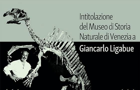 Venezia, Museo di Storia Naturale Venezia, Museo di Storia Naturale