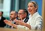 Alice Weidel - (Afp)
