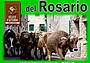 Fiera Segusino