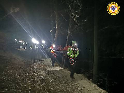 sui Colli Berici sui Colli Berici