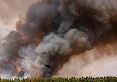 Francia, emergenza nella Gironda devastanti incendi nel Bacino di Arcachon tra Le Porge, Lacanau e Saumos (Ipa) Francia, emergenza nella Gironda devastanti incendi nel Bacino di Arcachon tra Le Porge, Lacanau e Saumos (Ipa)