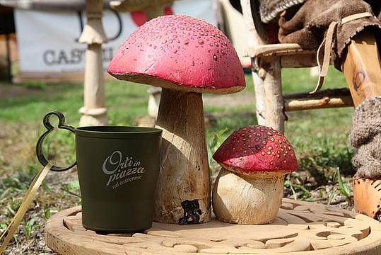 funghi.tazza