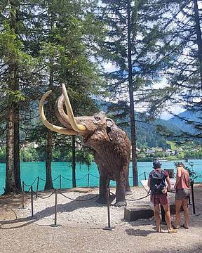 Mostra Auronzo 2026-1