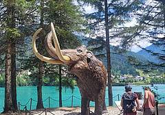 Mostra Auronzo 2026-1 Mostra Auronzo 2026-1