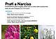 SERATA_28_MAGGIO-